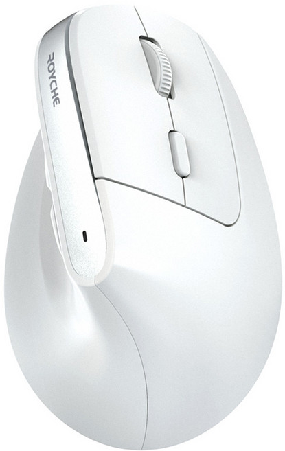 로이체 인체공학 저소음 버티컬 충전식 무선 마우스, RX-800V, 화이트