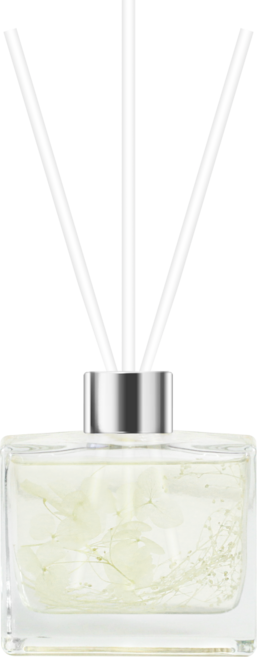 바이향 블루밍 홈 디퓨저, 피톤치드샤워, 120ml, 1개