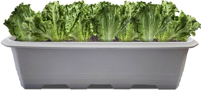 화분월드 다용도 특대형 초화박스 베이직 텃밭상자 880, 러브그레이, 1개