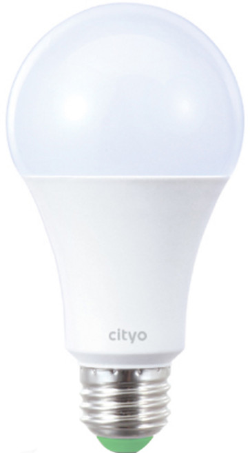 씨티오 식물생장 해빛 LED전구 12W, 주백색, 1개