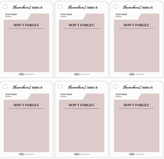 플레픽 썸네일 인덱스잇 점착메모지, 01 돈 포겟, 6개