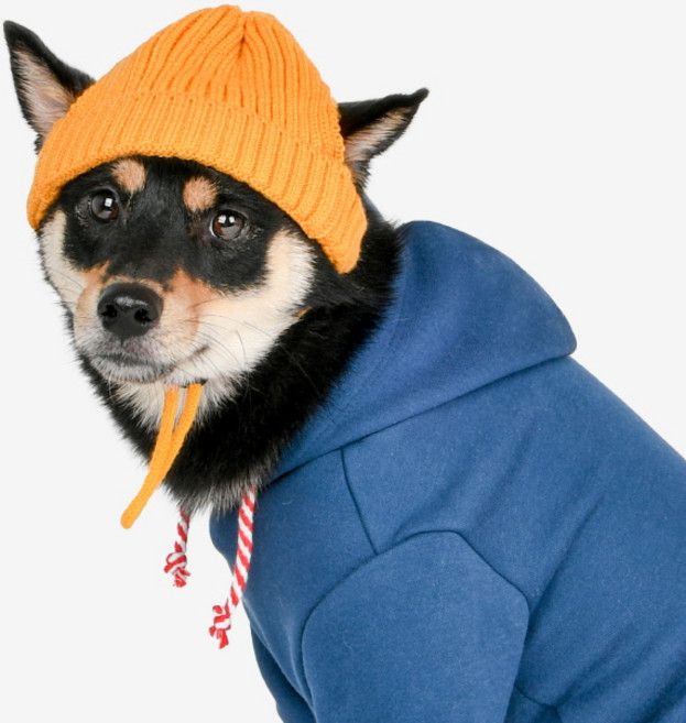 올치 반려동물 포근이 모자, 머스타드