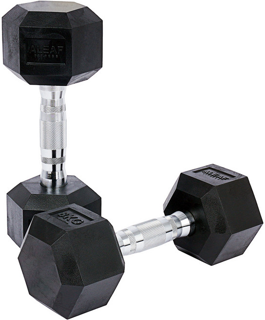 아리프 냄새 없는 PEV 헥사곤 덤벨, 8kg, 2개