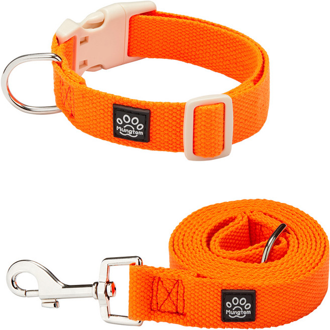 멍템 반려동물 팔레트 목줄 + 리드줄 세트, 네온오렌지, 1세트