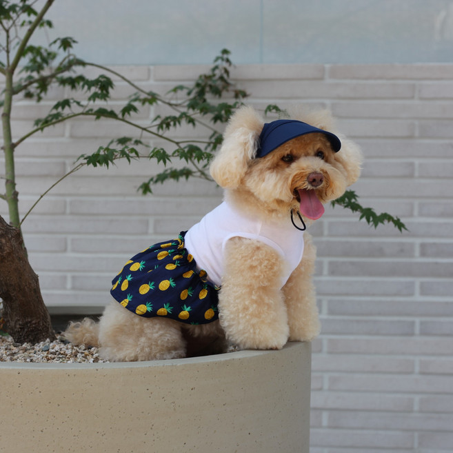 에이미러브즈펫 반려동물 PM 파인애플 원피스 + 모자 세트, 네이비, 1세트
