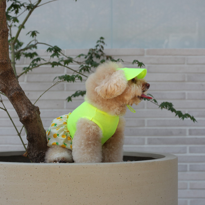 에이미러브즈펫 반려동물 PM 파인애플 원피스 + 모자 세트, 옐로우, 1세트