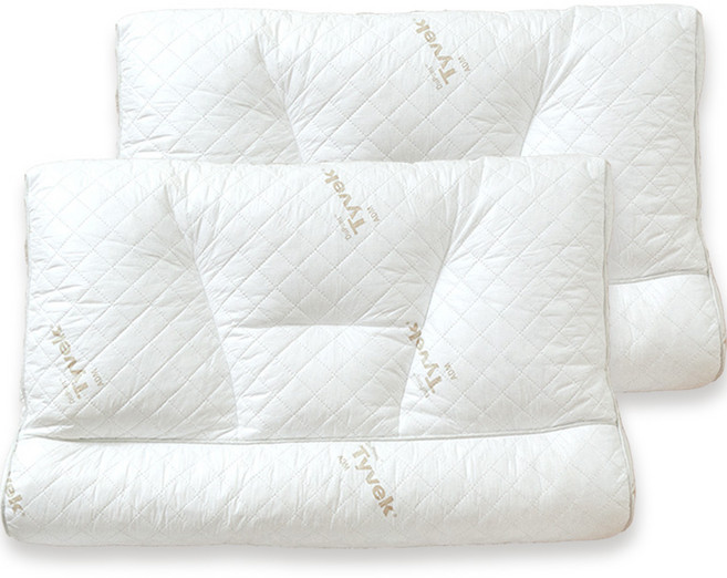 수면공감 주니어 프리미엄 신소재 라텍스 알파 베개, 화이트, 2개