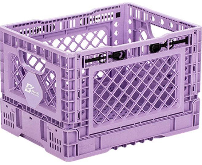 빅앤트 폴딩박스, 연보라, 25L, 1개