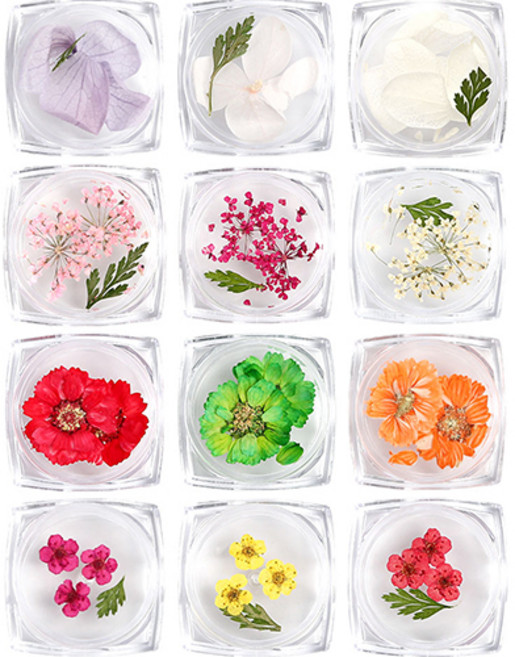 젤로젤로 생화 드라이플라워 네일파츠 12종 세트 B, 혼합색상, 1개
