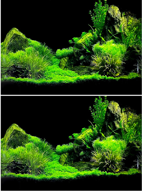 미미네아쿠아 싱그러운수초가득 어항 백스크린 2p, 혼합색상, 2개