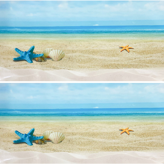 미미네아쿠아 백사장에서의하루 어항백스크린 2p, 혼합색상, 2개