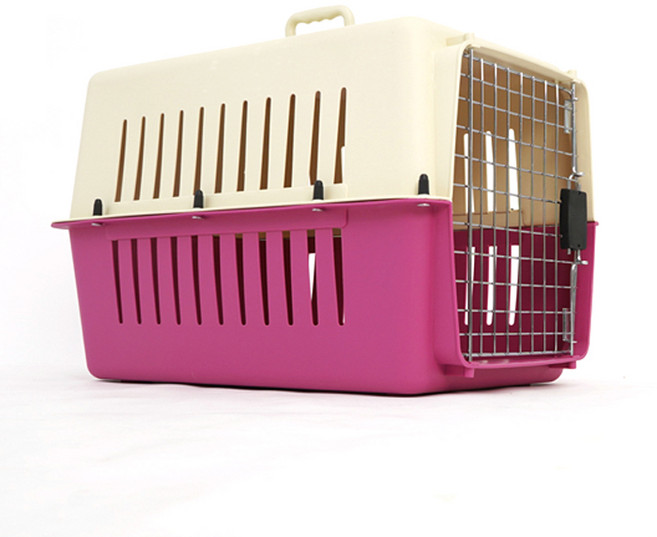 반려동물 마스터켄넬, 랜덤발송