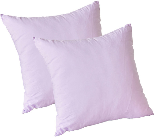 I'm Living 軟綿高密度奈米水洗抱枕套 2入