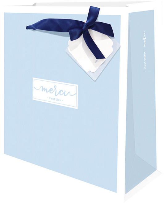 프롬앤투 리본 이중택 쇼핑백 FP25A 5p, 스카이 블루(FP25A-2), 5개