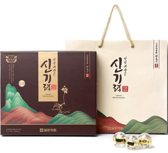 일양약품 산삼배양근 신기력 건강환 16p + 쇼핑백, 56g, 1개