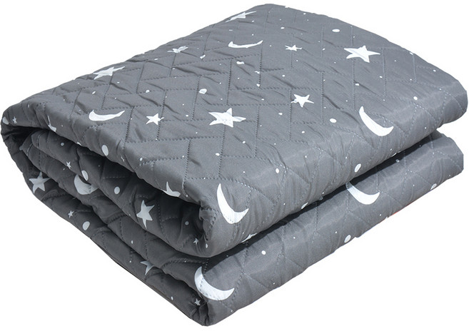 리치한일의료기 워셔블 안심전기요 LC-1122M, 싱글 (100x180cm)