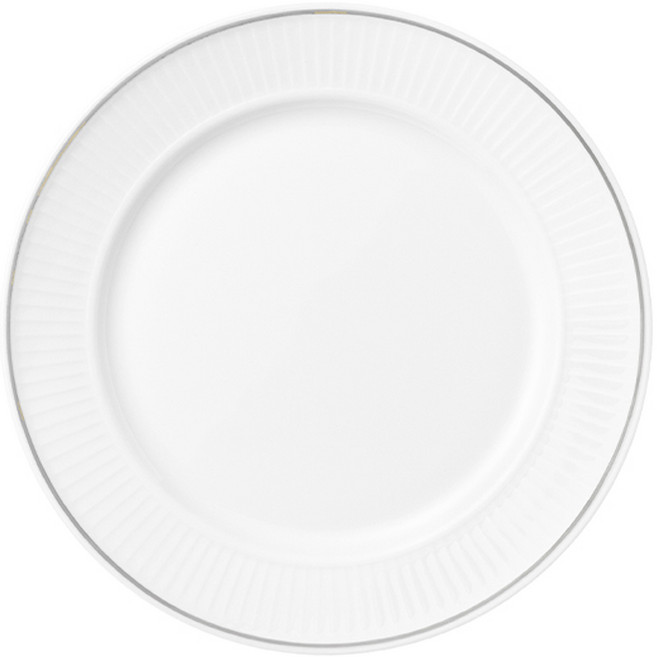 필리빗 플리세 실버림 플레이트 170, 1개