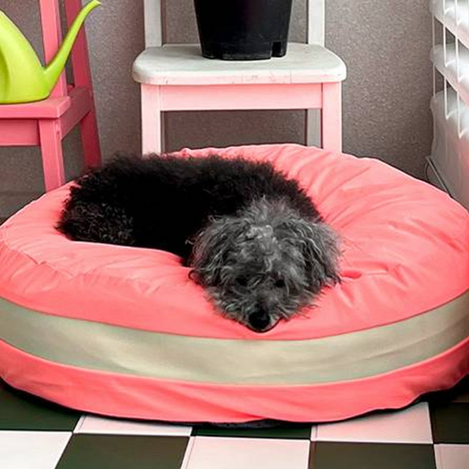 초코펫하우스 강아지 쿠션 마카롱 방석, 짭쪼롬 황치즈 오렌지, 1개