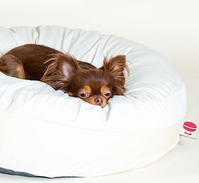 초코펫하우스 강아지 쿠션 마카롱 방석, 부들부들 소금우유 아이보리, 1개