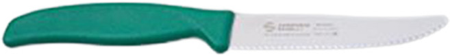 사넬리암브로지오 테이블 나이프 톱니날, 그린, 1개