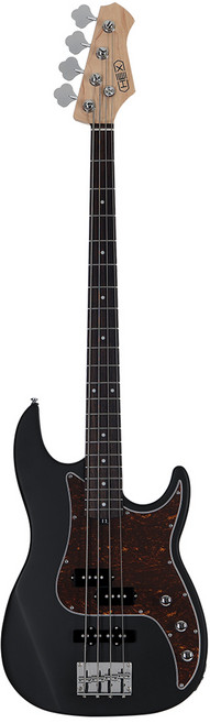 헥스 입문용 베이스기타, RB100R S/BK, 블랙, 1개