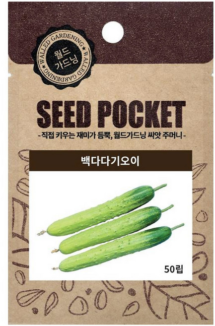 월드가드닝 백다다기오이 씨앗 50p, 1개