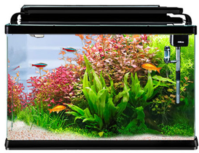 리컴 뉴 일체형 어항 풀세트 XT-300, 혼합색상, 1세트