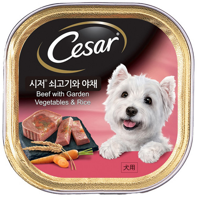 시저 1세 이상 강아지 주식캔, 소+채소, 100g, 24개