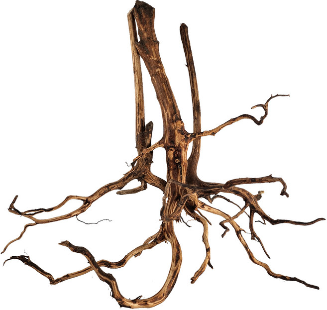 모비딕 키시레움 유목 3종 세트, 1세트