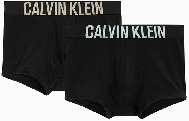 캘빈클라인언더웨어 남성용 인텐스 파워 코튼 트렁크 팬티 2종 세트 NB2602O