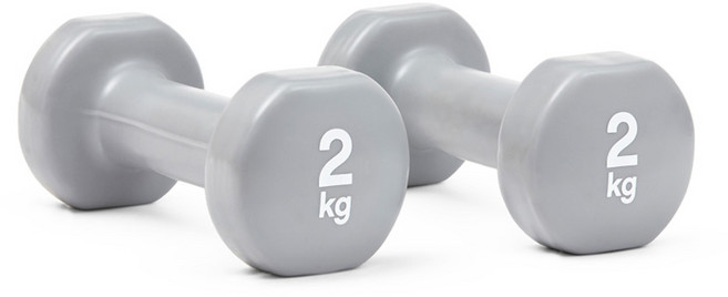 리복 트레이닝 덤벨 RAWT-18002, 2kg, 2개