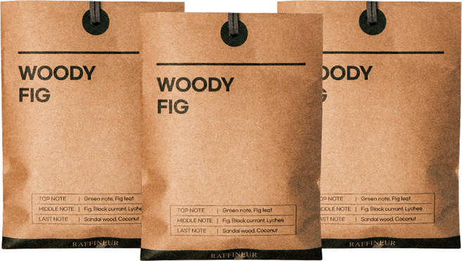 라피네르 크라프트 퍼퓸 샤쉐 실내 방향제 74g 3개, 우디피그, 혼합색상