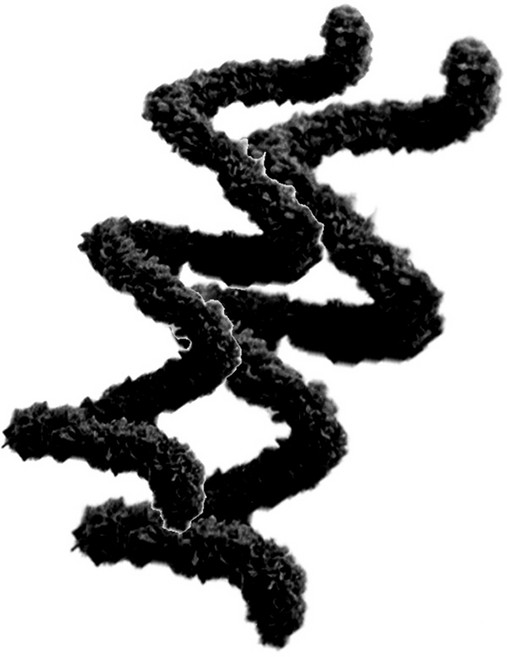 yarna 뽀글이 모루실 15mm, 20 블랙, 2개