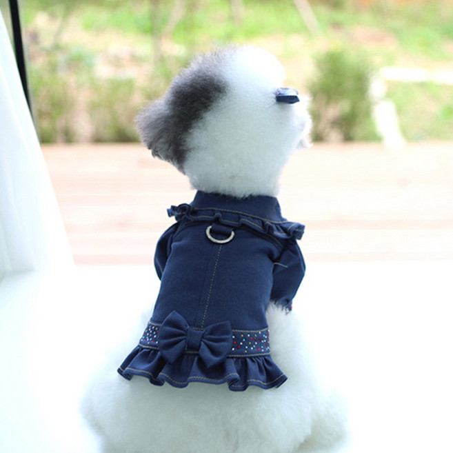 강아지 리본 데님 자켓, BLUE