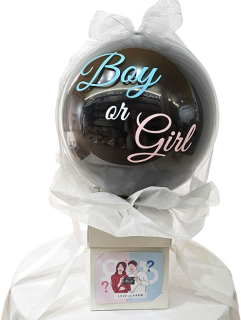 러블리팜 성별 공개 파티 베이비 샤워 팝핀 벌룬 젠더리빌, 02보이or걸, 1개