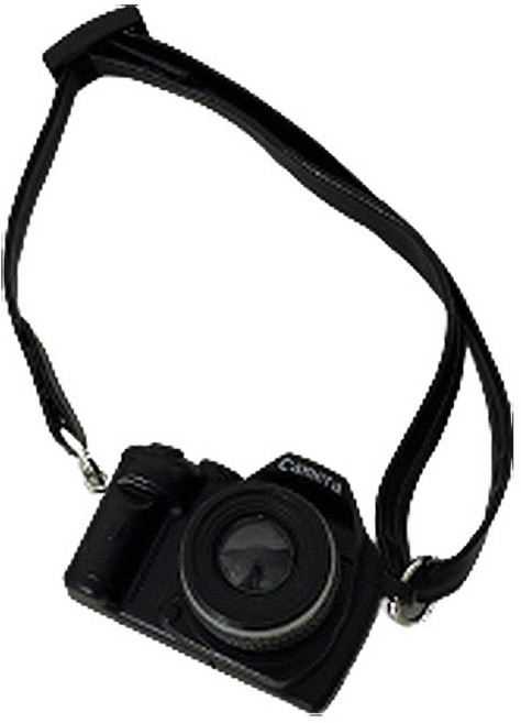 다다랜드 키링 인형 악세서리 카메라, DSLR, 1개