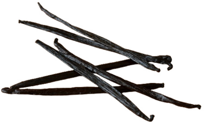 타히티 바닐라빈, 25g, 1개