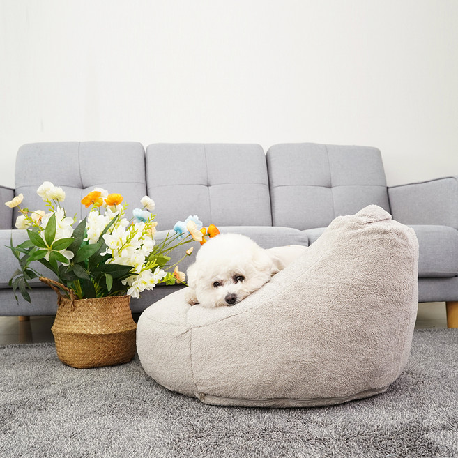 개과천선 강아지 윈터 빈백 방석, 그레이, 1개