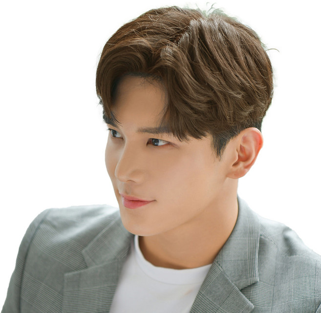 남성용 정수리탈모 아이롱 가르마펌 부분가발 탑스타일 투블럭, 브라운믹스, 1개