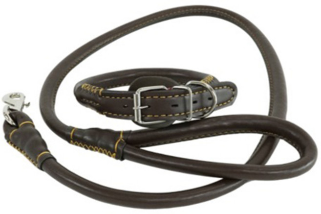 개과천선 강아지 레더 방수 리드줄 + 목줄 세트, 브라운, 1세트