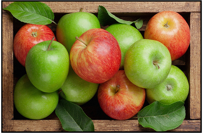 풍수지리 액자 홍청사과, 블랙