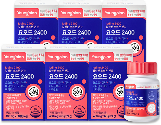 영플랜 요오드 2400 갑상선 호르몬 건강, 60정, 6개