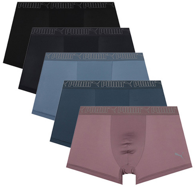 푸마바디웨어 남성용 뉴트럴 에디션 컬러 드로즈 팬티 5종 세트(95~110)
