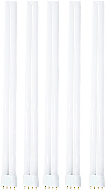 비츠온 FPL 이관 형광등 36W, 주광색, 5개