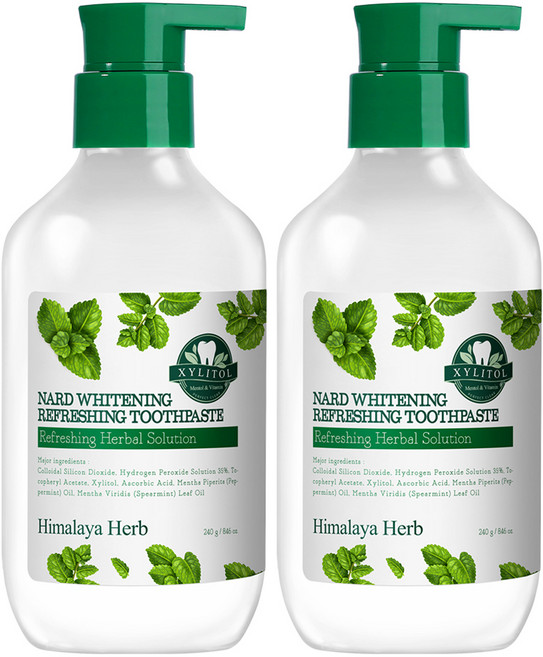 나드 미백 리프레싱 펌핑 치약, 240g, 2개