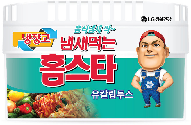 홈스타 냄새먹는 냉장고용 탈취제 유칼립투스 본품, 420g, 1개