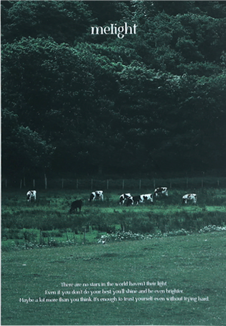 워너디스 미라이트 무지 노트, 04 다크 포레스트, 1개