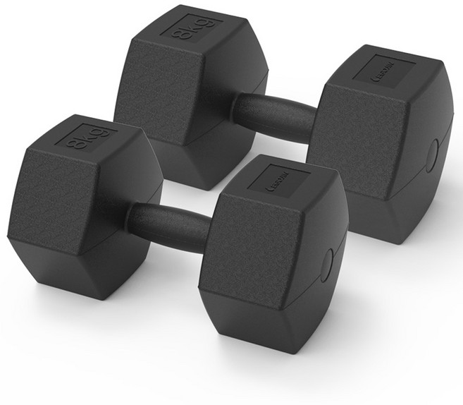 이고진 블랙육각 덤벨 아령, 8kg, 2개