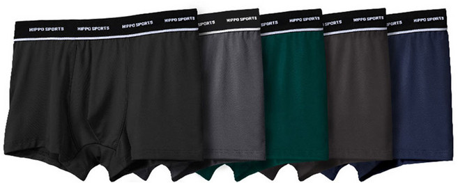 히포 남성용 드로즈 팬티 5종 세트