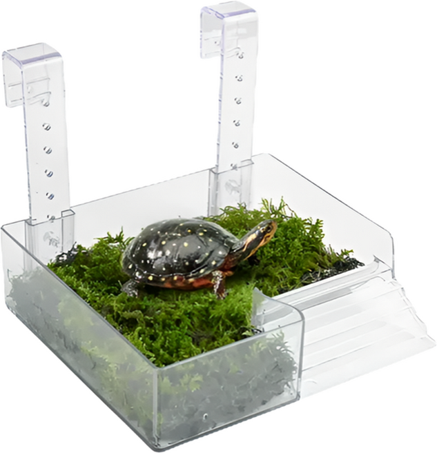 페이토 베란다형 일광욕 거북이 육지 소, 202g, 1개